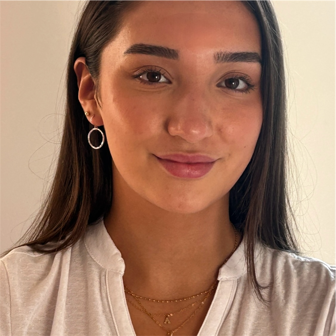 Silver Hammered Hoops